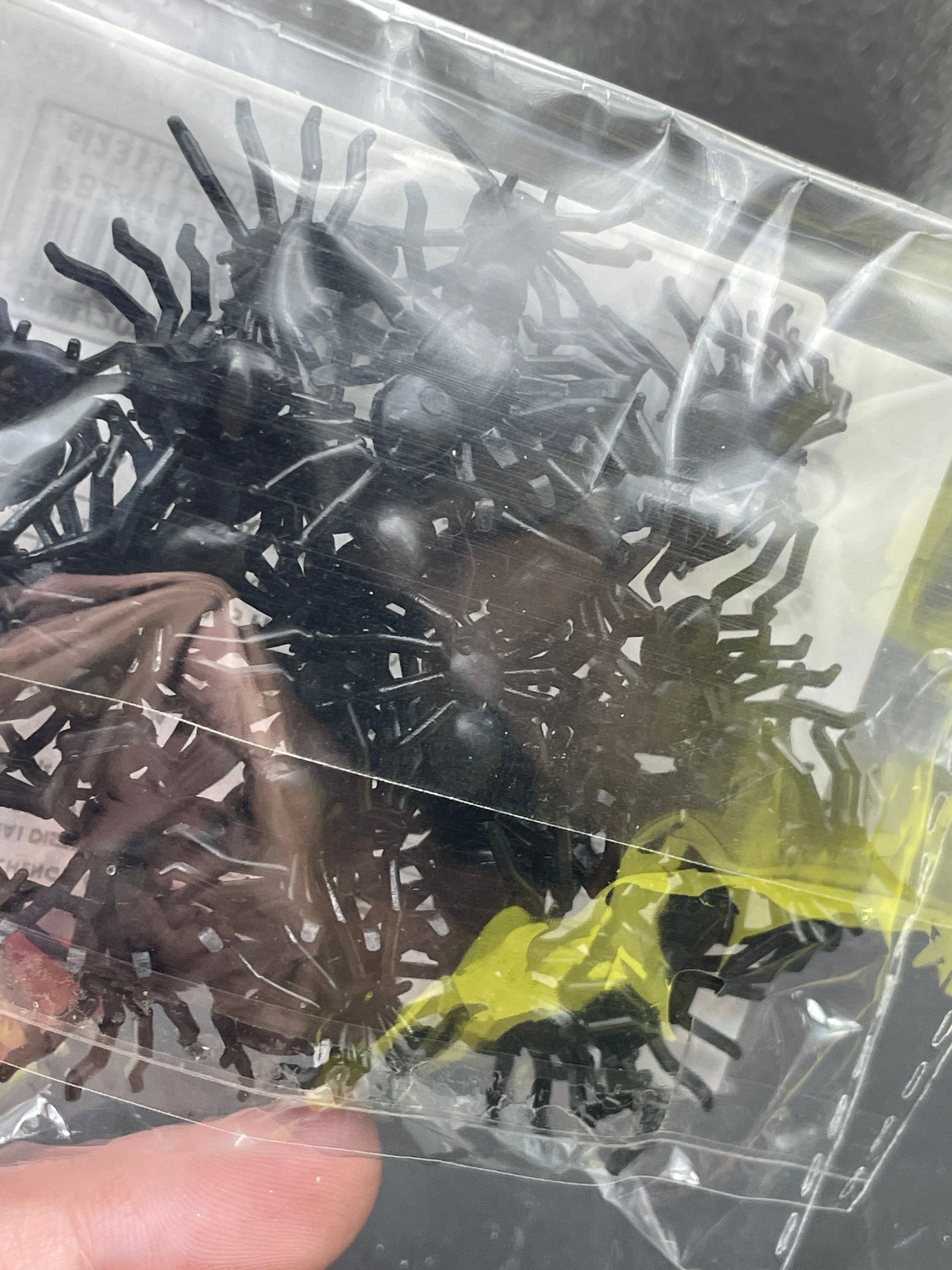 Black Plastic Spiders