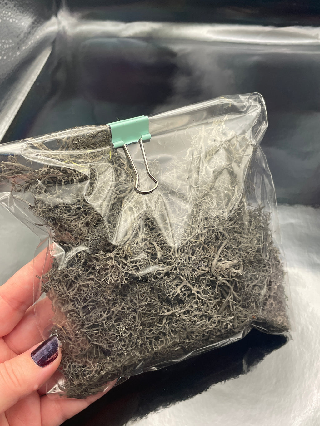 Bag of Black Moss
