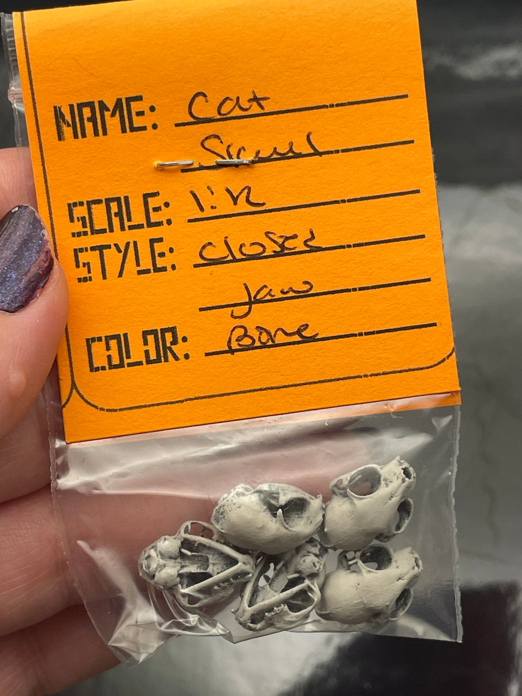 3D Printed & Painted Cat Skulls