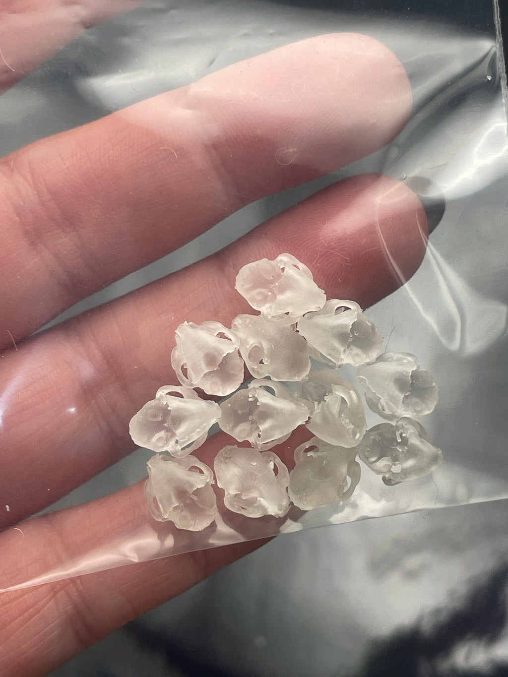 3D Printed Cat Skulls