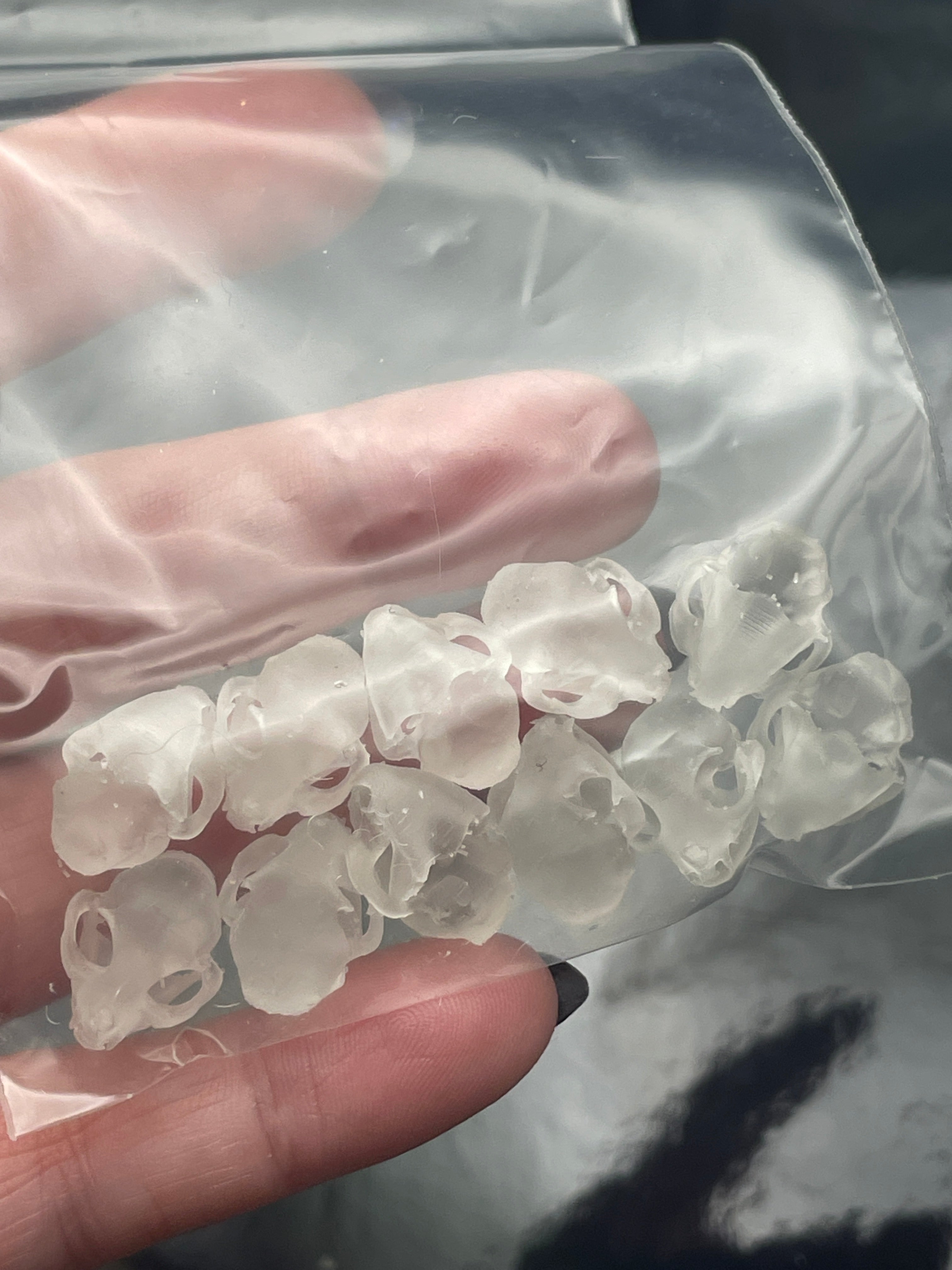 3D Printed Cat Skulls