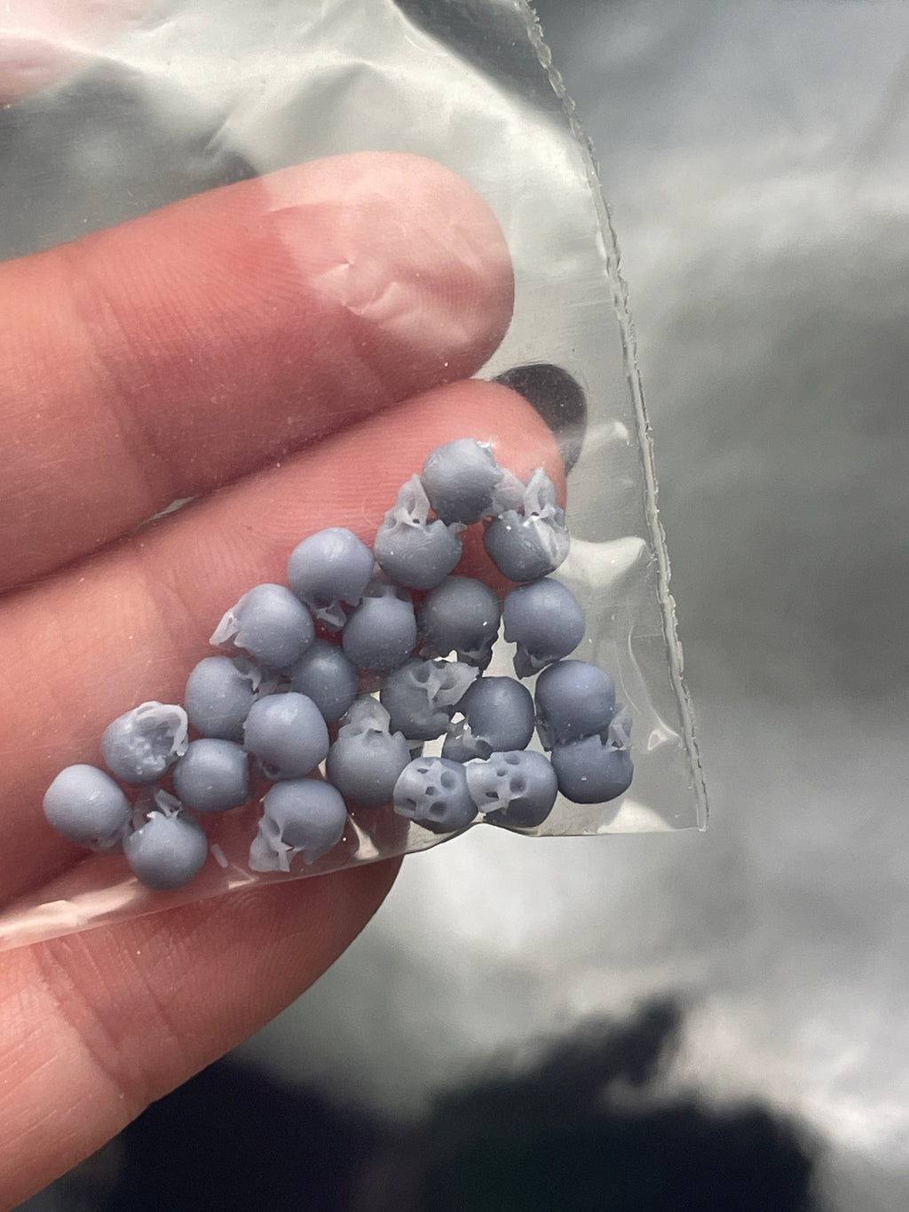 3D Printed Human Skulls - Multiple Sizes