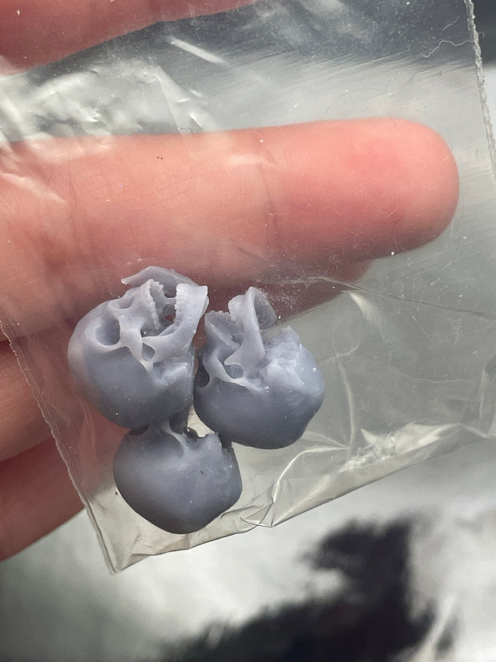 3D Printed Human Skulls - Multiple Sizes