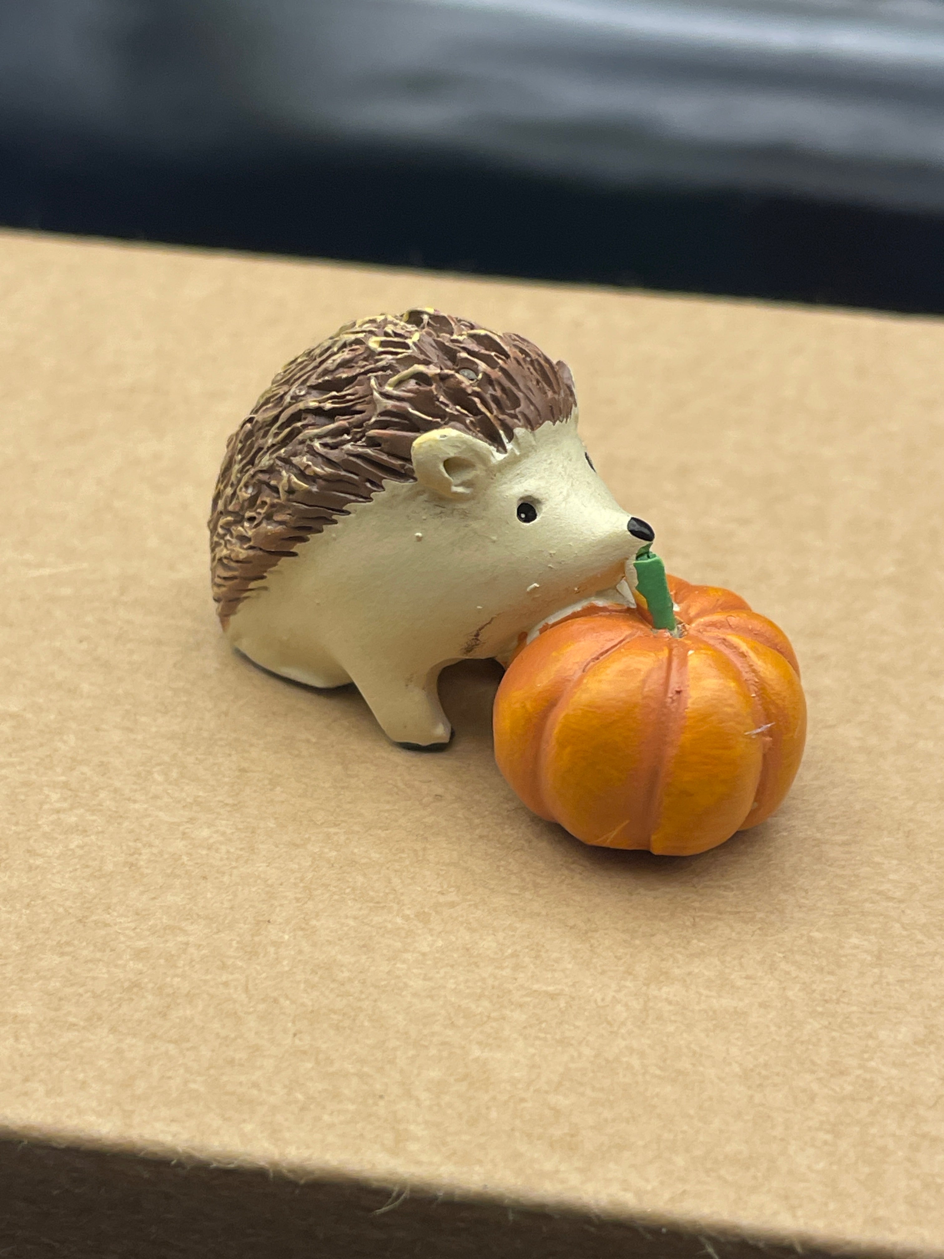 Silly Fall Hedgehog