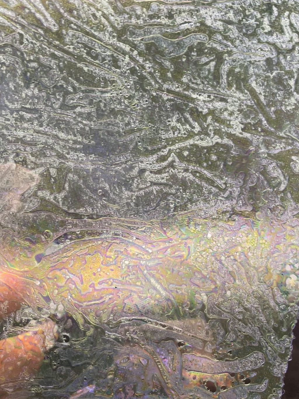 Dichroic Sheet - #29