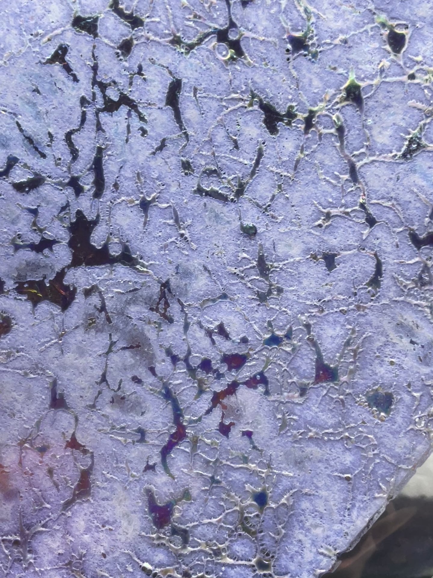 Dichroic Sheet - #23