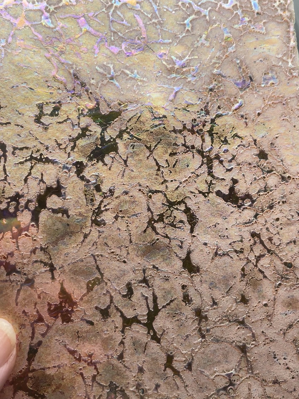 Dichroic Sheet - #24