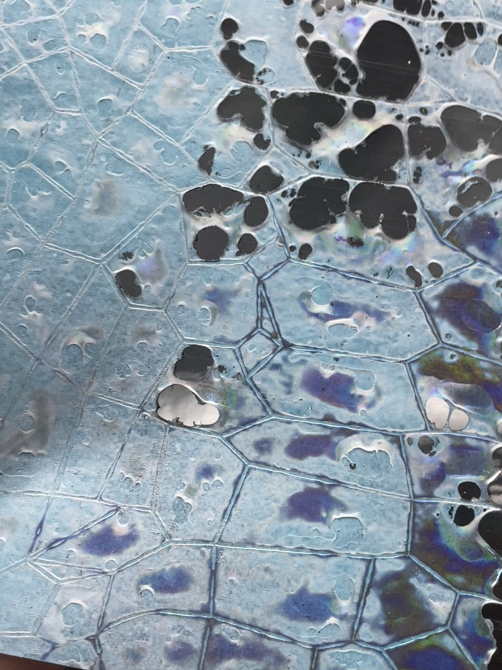 Dichroic Sheet - #15