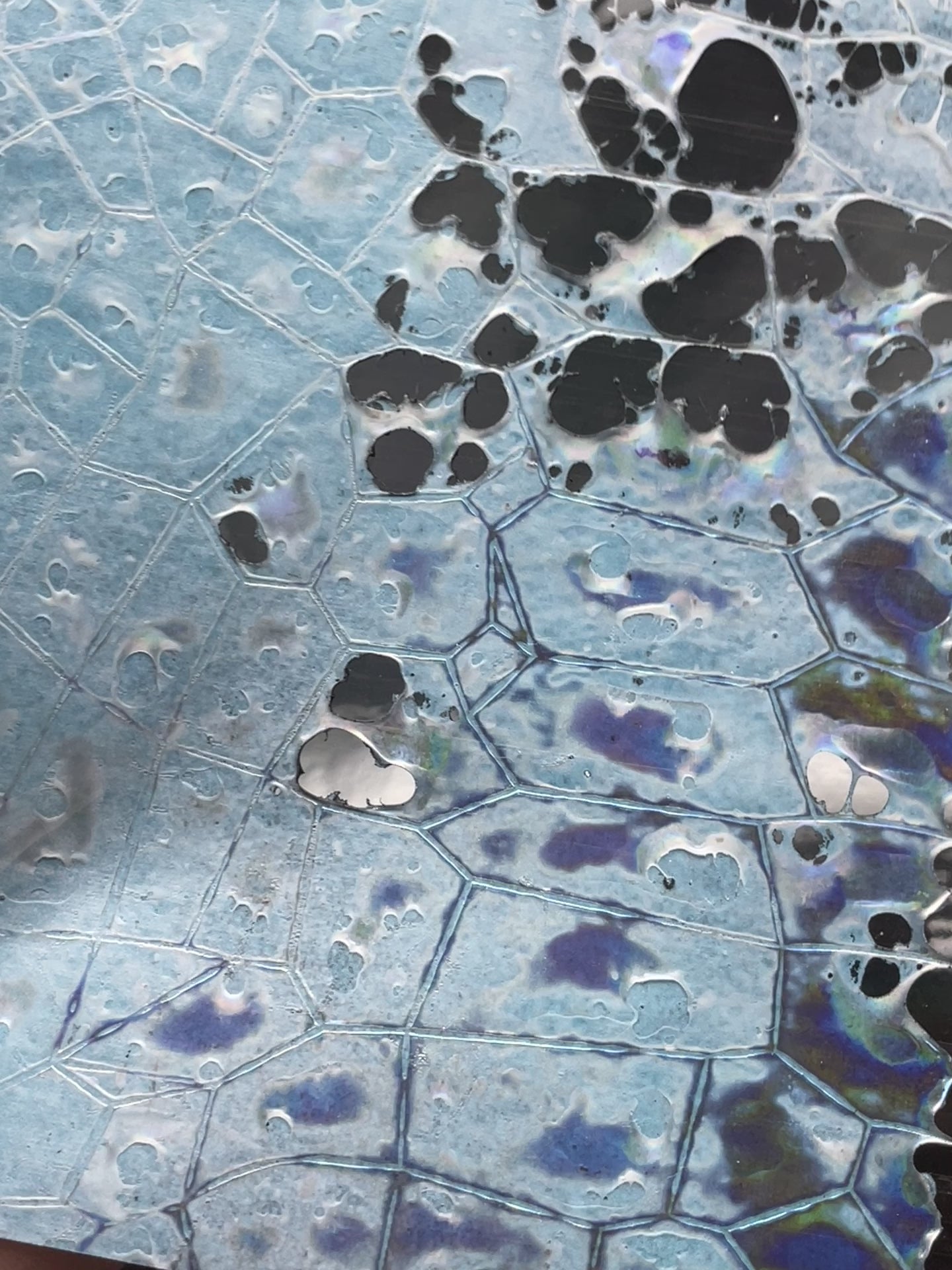 Dichroic Sheet - #15